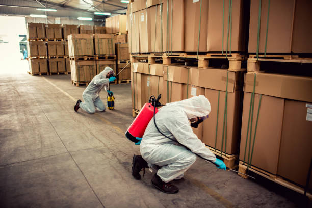 Best Emergency Pest Control  in Quakertown, PA
