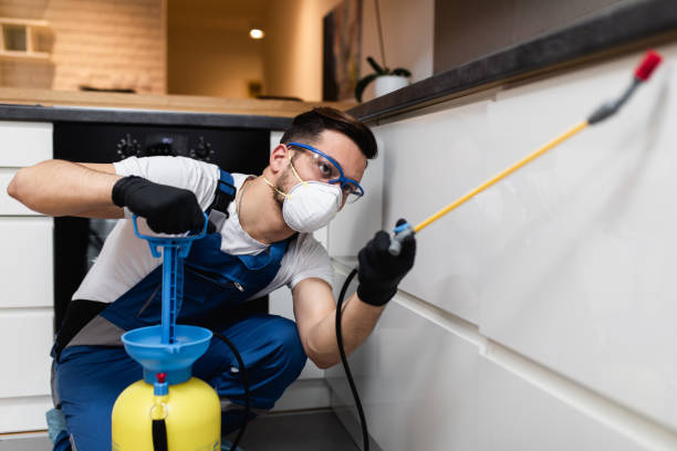 Best Pest Removal Services  in Quakertown, PA