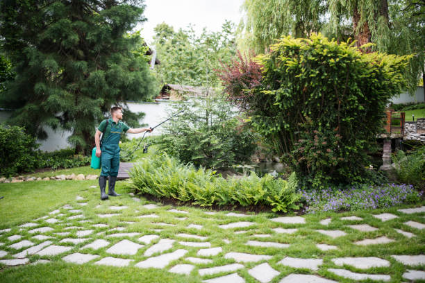 Best Pest Prevention Services  in Quakertown, PA