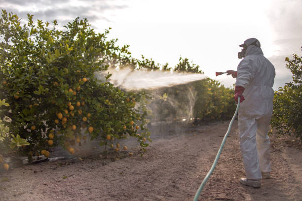 Reliable Quakertown, PA Pest Control Solutions