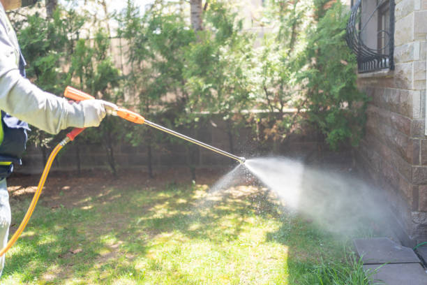 Best Local Pest Control Services  in Quakertown, PA
