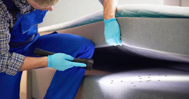 Flea Control Services in Quakertown, PA